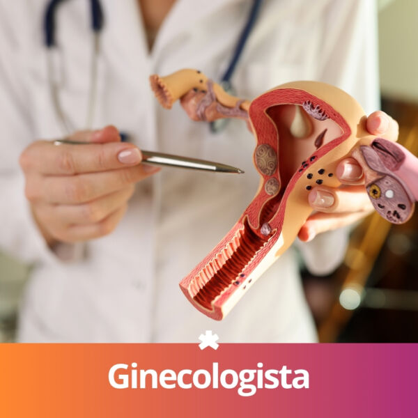 Ginecologista